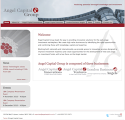 AngelCapitalGroup.png